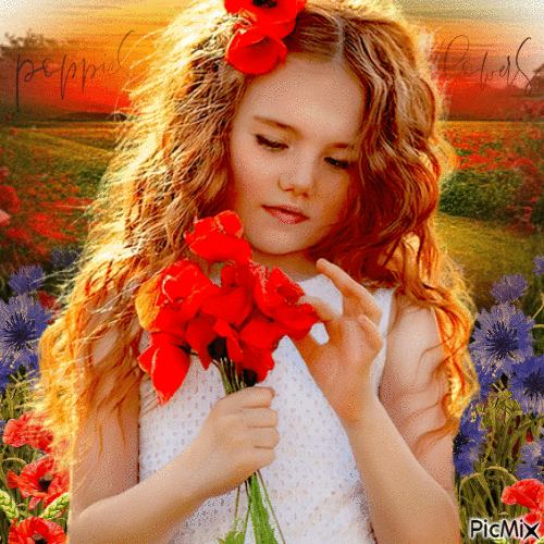 Girl, poppies, cornflowers - Darmowy animowany GIF