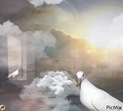 A un paso del cielo - Zdarma animovaný GIF