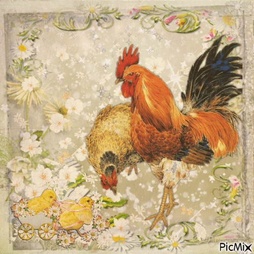 Chickens in the Flowers - Free animated GIF