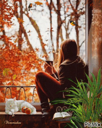 Fenêtre d'automne - Ingyenes animált GIF