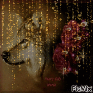 Wolf in Heart Shower - Besplatni animirani GIF
