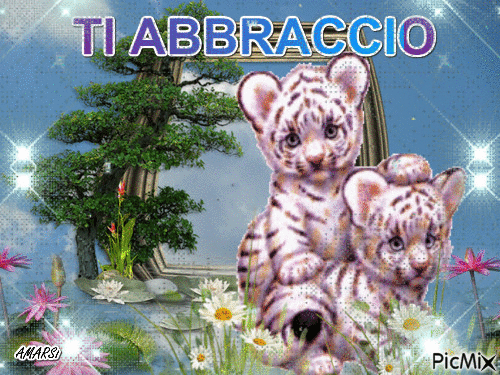 TI ABBRACCIO - Ücretsiz animasyonlu GIF
