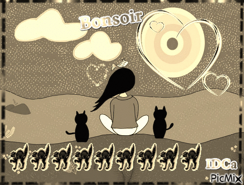 Bonsoir les chatounets - Zdarma animovaný GIF