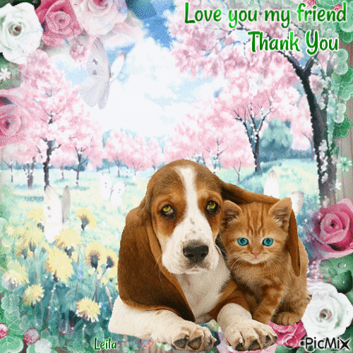 Love you my friend. Thank you. Dog and Cat - Free animated GIF