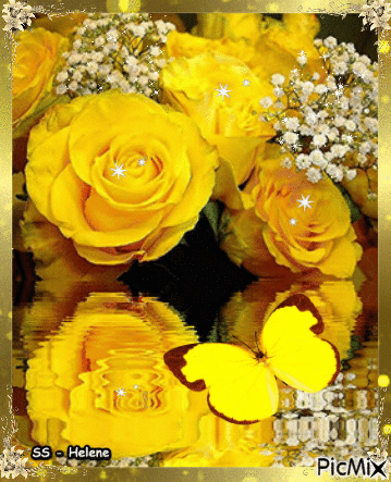 Yellow rosws. - Gratis animeret GIF