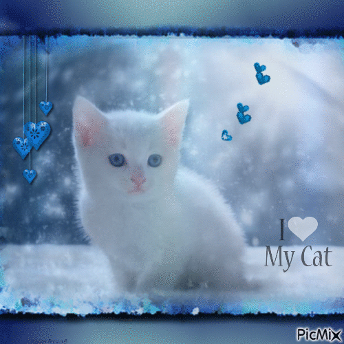 Mein Lieblingstier--Katze - Δωρεάν κινούμενο GIF