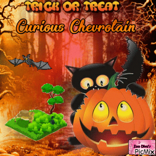 CURIOUS CHEVROTAIN - Darmowy animowany GIF