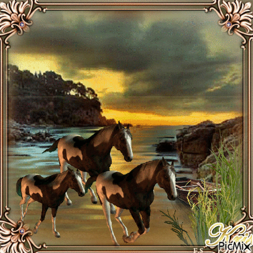Ballade à cheval sur la plage le soir (🌹🌼 - Animovaný GIF zadarmo