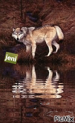 Wolf - Gratis geanimeerde GIF