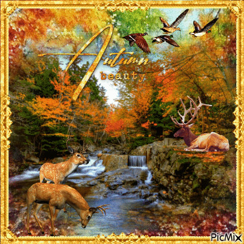 Осенняя краса - Безплатен анимиран GIF