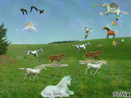 Caballos salvajes - GIF animado grátis