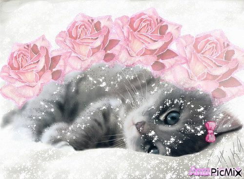 Котёночек и розы - Ingyenes animált GIF