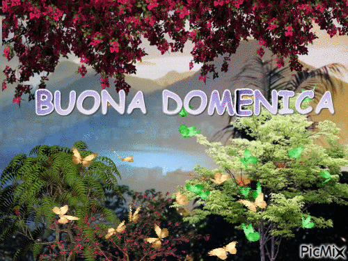 BUONA DOMENICA - Бесплатный анимированный гифка