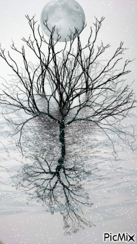 Tree of Life with Moon - Besplatni animirani GIF