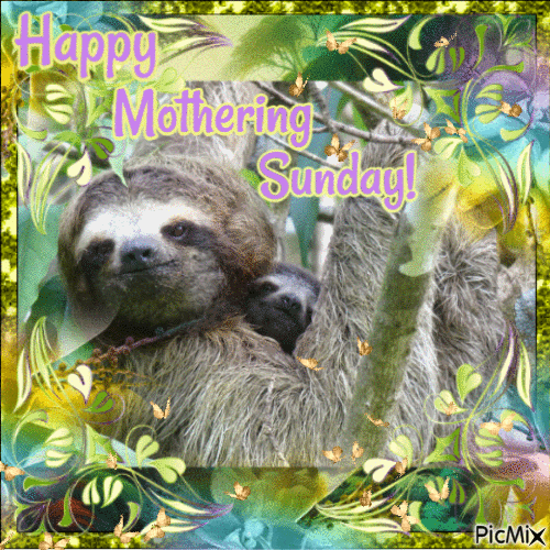 Sloths for Mothering Sunday - GIF animé gratuit