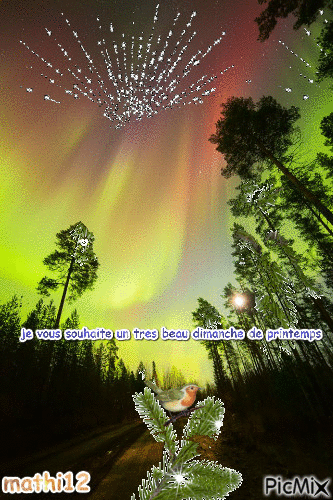 aurores boreale - Ilmainen animoitu GIF