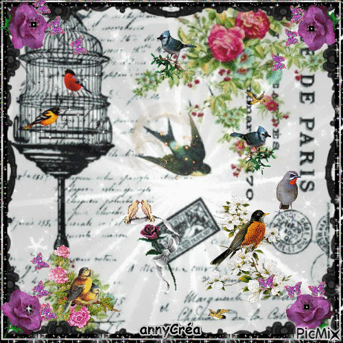 La cage aux oiseaux - Besplatni animirani GIF