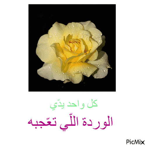 Larouci Abdallah - Δωρεάν κινούμενο GIF