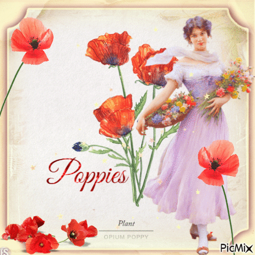 Poppy Dreams - GIF animé gratuit