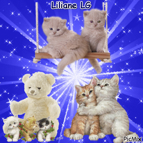 Nos amis les chats et Nounours - Free animated GIF
