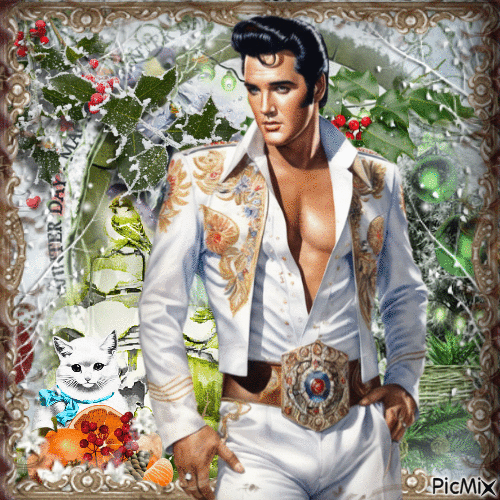 gift for the elvis fans - Бесплатни анимирани ГИФ