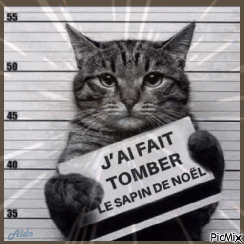 chat alors - Free animated GIF