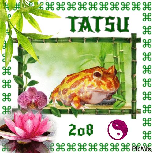 Tatsu - GIF animado gratis