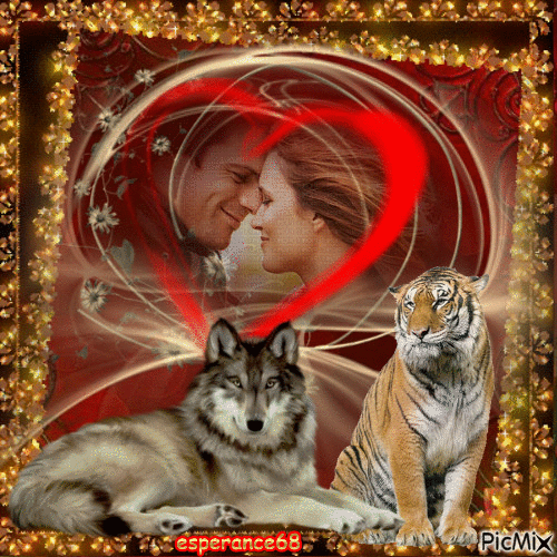couple loup et tigre - Ilmainen animoitu GIF