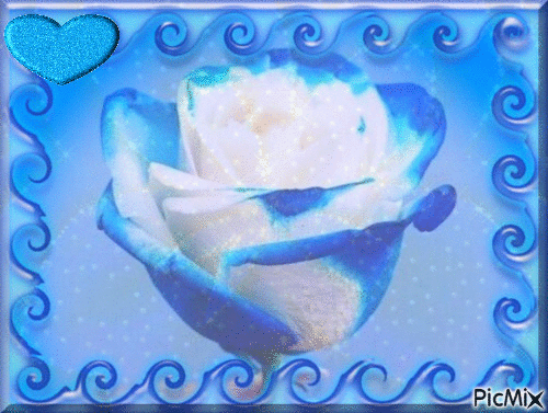 rose bleue - Бесплатный анимированный гифка