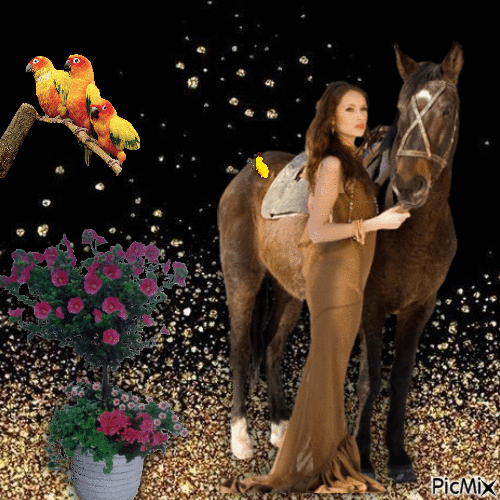 Vrouw met paard - Бесплатный анимированный гифка