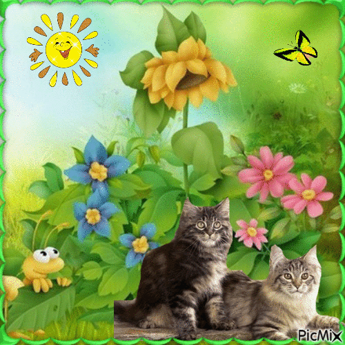 2 Katzen und Blumen - Zdarma animovaný GIF