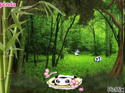 panda - GIF animado gratis