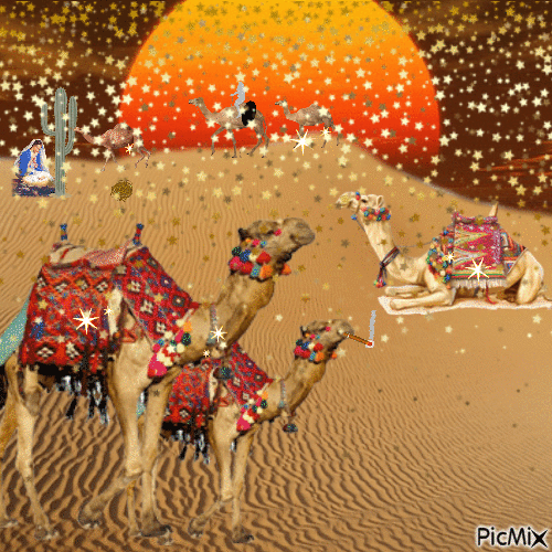 i cammelli - GIF animé gratuit