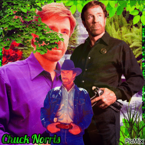 Le beau regard de Chuck Norris - GIF animado gratis