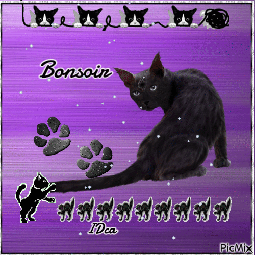 Bonsoir les  chatons - Bezmaksas animēts GIF