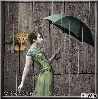 femme et chat sous la pluie - GIF animado grátis