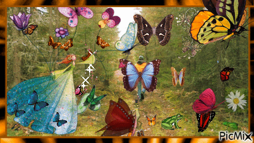 Papillons en folies - Darmowy animowany GIF