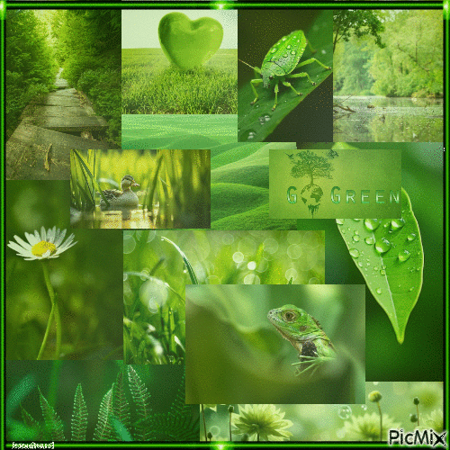 Grüne Naturcollage - Darmowy animowany GIF