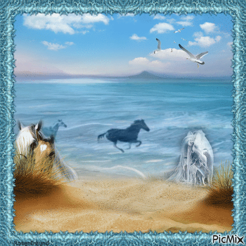 Pferde am Meer - Gratis geanimeerde GIF