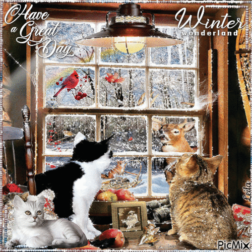 Have a Great Day. Winter. Window, cats - Gratis animerad GIF