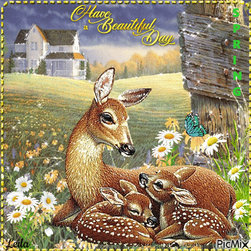 Have a Beautiful Day. Deer mother. Spring - GIF animé gratuit