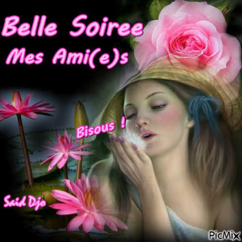 belle soiree mes amies - zadarmo png