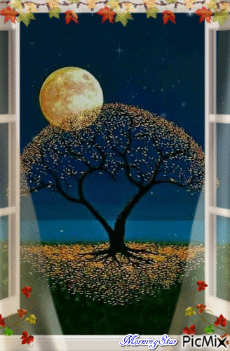 Autumn Night Sky - Безплатен анимиран GIF