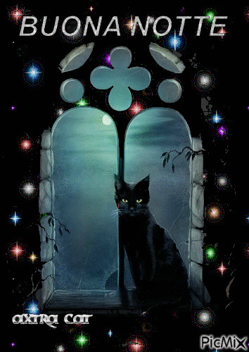 gatto nero - Безплатен анимиран GIF