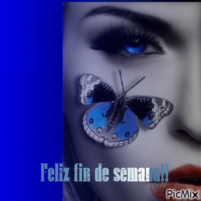 Mariposa azul - GIF animé gratuit