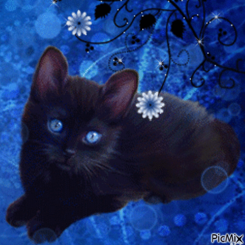 Gato preto - GIF animado grátis