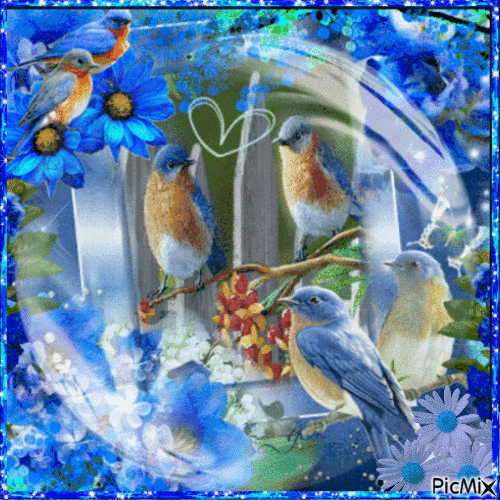 Blue Birds in a Bubble - Free animated GIF