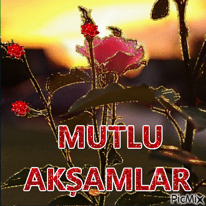 Aksamlar - Бесплатный анимированный гифка