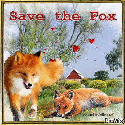 FOX  Volpe - GIF animado gratis