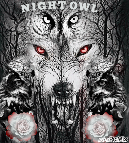 wolf and owl - Free animated GIF
